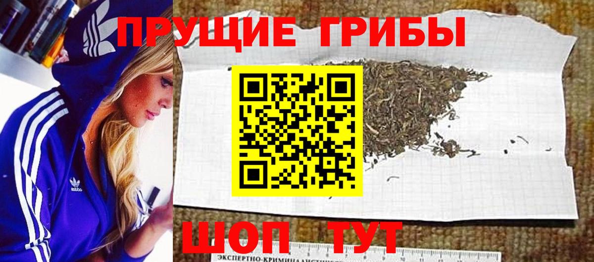 Новодвинск  Псилоцибиновые грибы мицелий  Галлюциногенные грибы MAGIC MUSHROOMS  Вход с VPN 